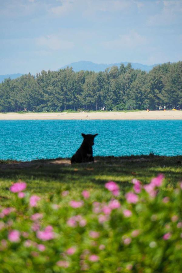 فندق إيديو فوكيت Nai Yang Beach المظهر الخارجي الصورة